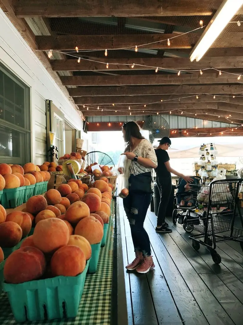 Fall Fest at Fifer Orchards, Camden-Wyoming, Kent County