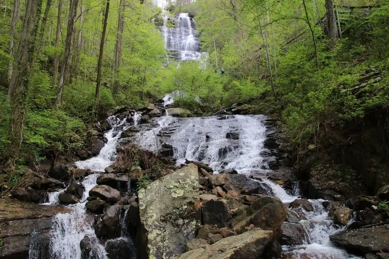 Amicalola Falls Trail - Dawsonville