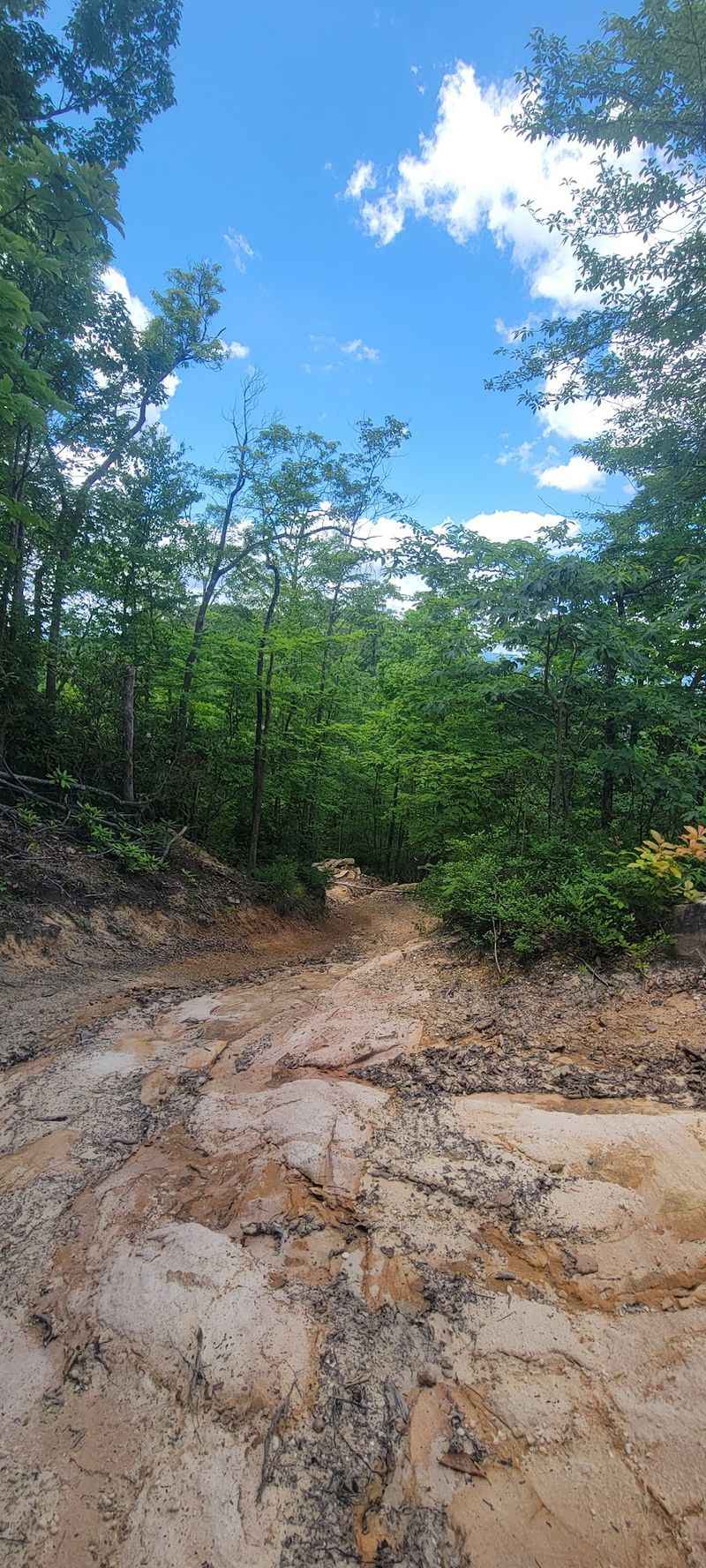 Spearhead Trails