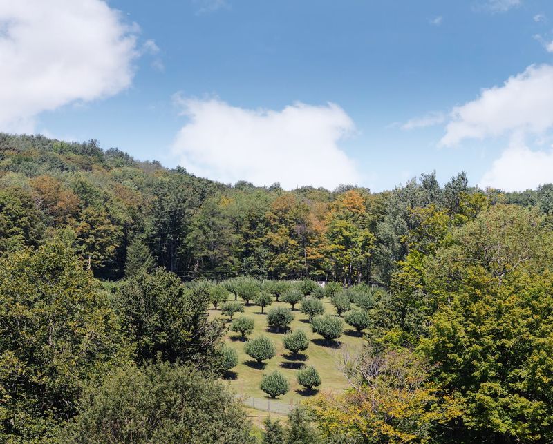 Pocono Mountain Farms - Newfoundland