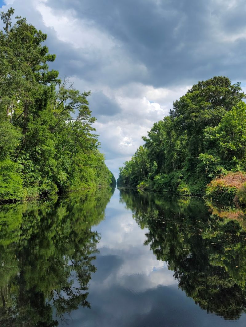A Quiet Paddle Mood, Great Dismal Swamp National Wildlife Refuge Swamp Safari in Suffolk, Suffolk city