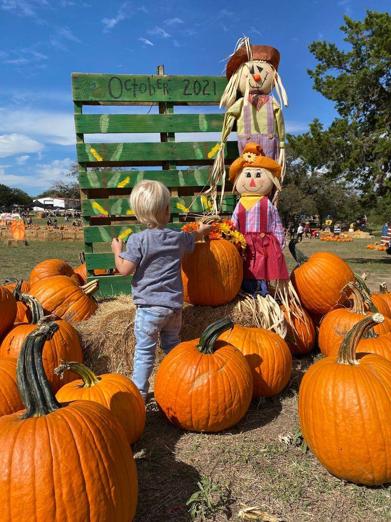 Love Creek Orchards and The Apple Store, Medina
