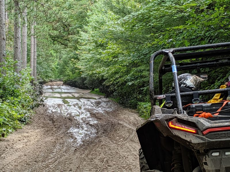 Black River State Forest ATV Trail - Black River Falls