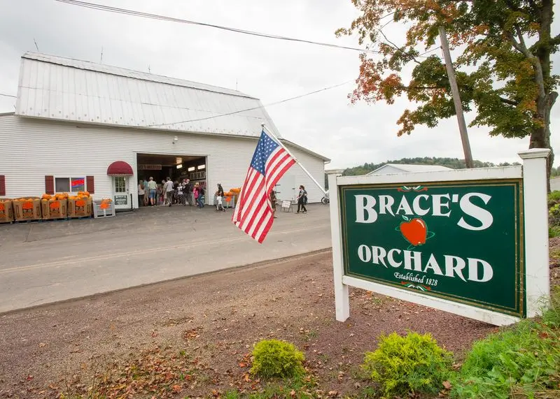 Brace's Orchard