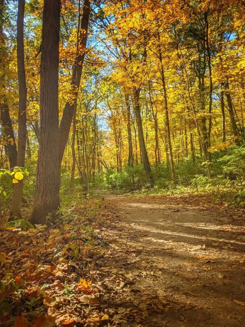 Gorge Colors at John Bryan State Park
