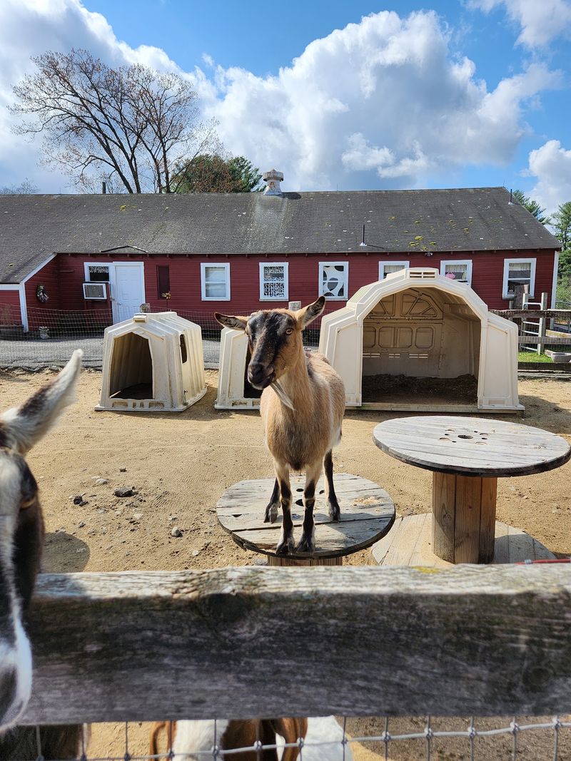 Great Brook Farm State Park, Carlisle, Middlesex County