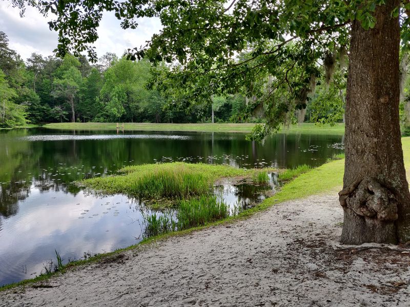 Poinsett State Park - Wedgefield