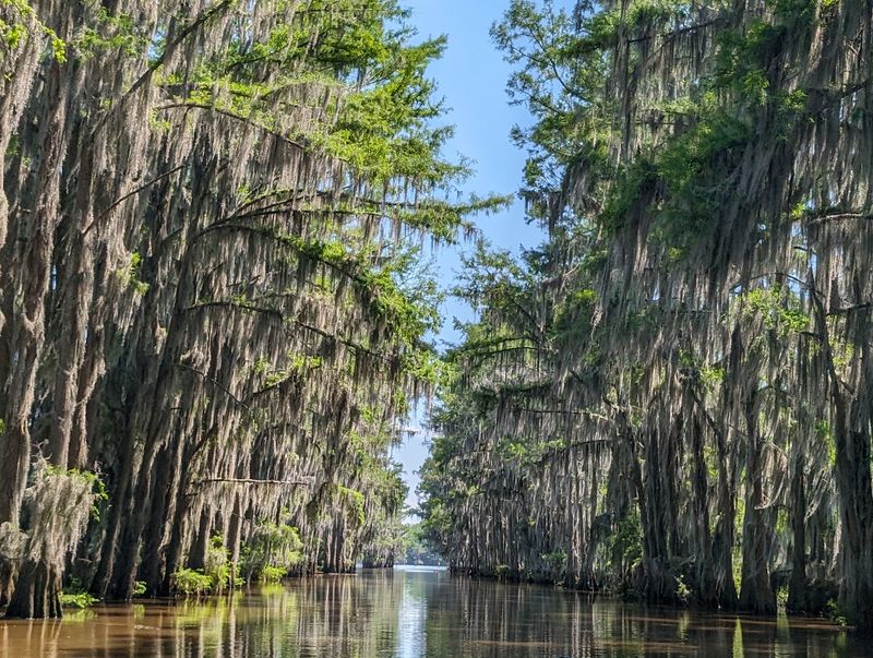 Caddo Lake - Karnack