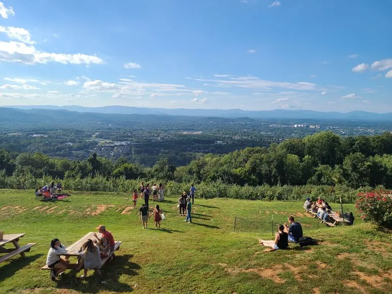 Carter Mountain Orchard - Charlottesville