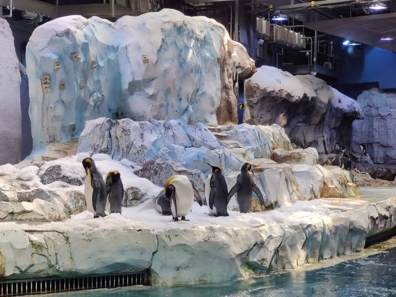 Detroit Zoo in Royal Oak