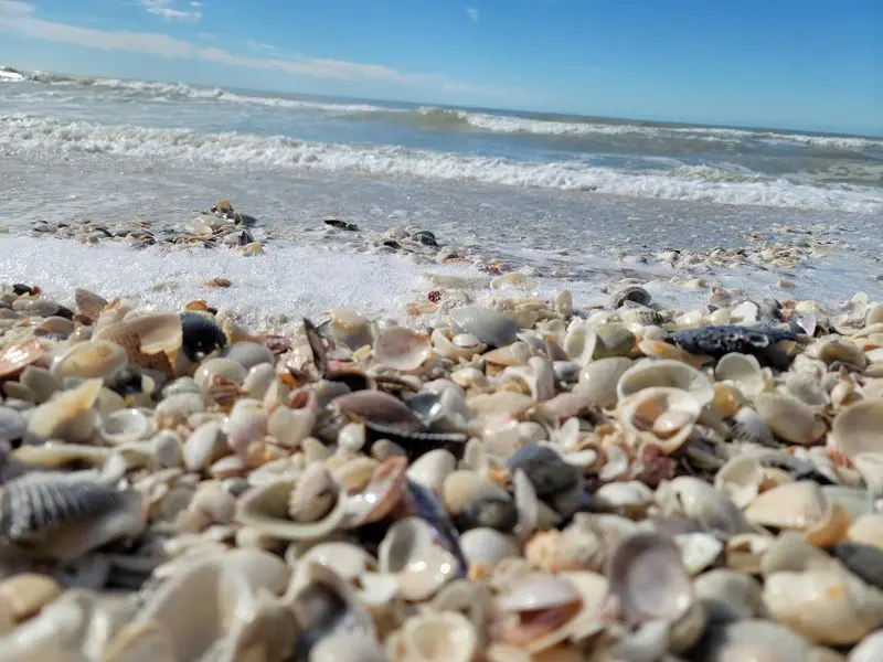 Bowman's Beach - Sanibel Island