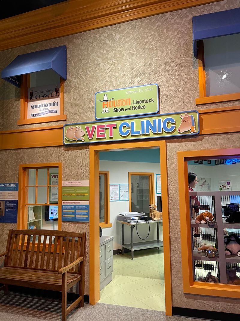 Children's Museum Houston - Houston