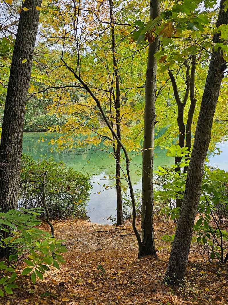 Walden Pond State Reservation - Concord