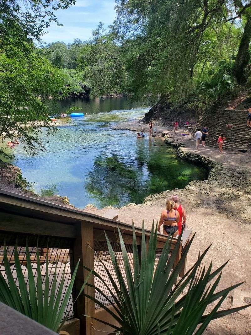 Lafayette Blue Springs State Park