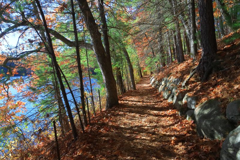 Walden Pond Loop - Concord