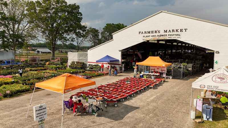 Pee Dee Produce With a Straightforward Soul