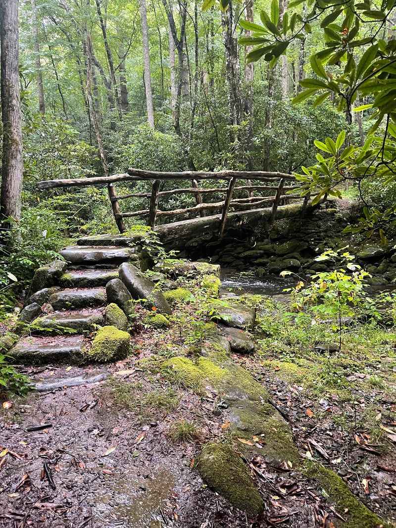 Shore Paths and Changing Water