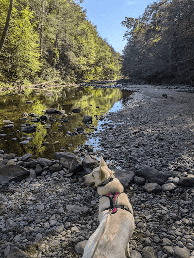 The River&rsquo;s Calm: Fishing, Listening, and Letting Time Slow Down
