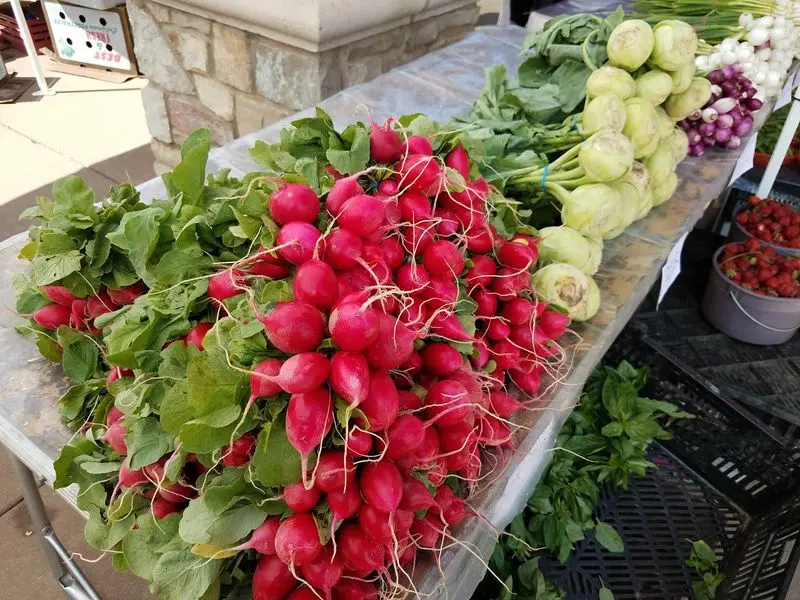 Produce That Changes With the Season