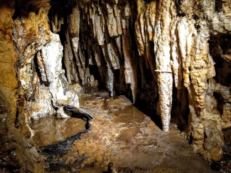 Water Slowly Carved This Underground World