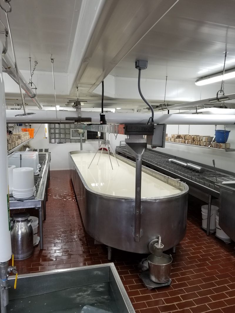 Fresh Curds Keep The Crowds Loyal