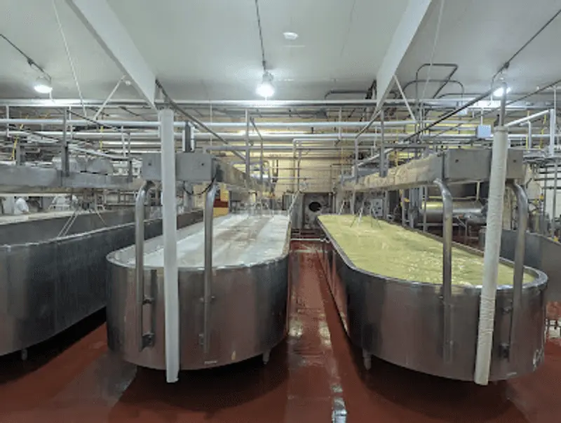 Watching Milk Become Cheese Behind the Glass