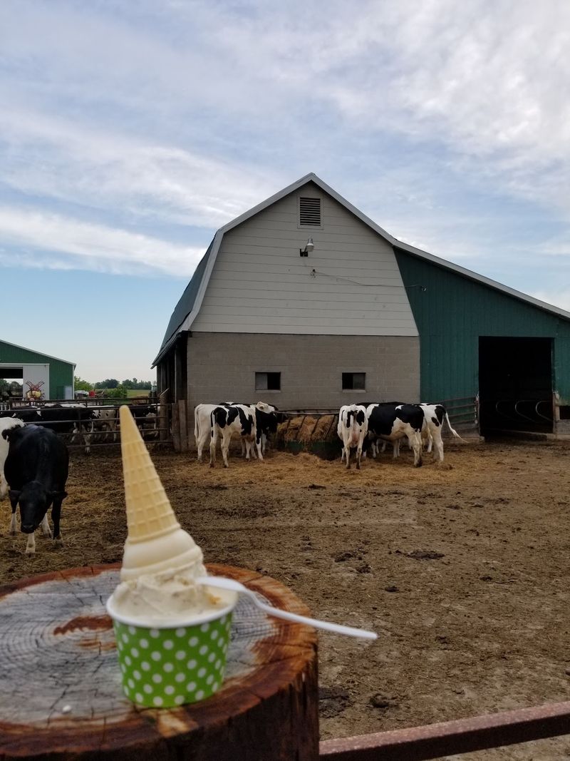 More Than One Dairy Treat to Try