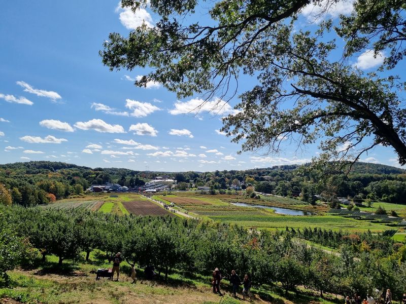 Wander Through the Apple Orchards and Pick Your Own