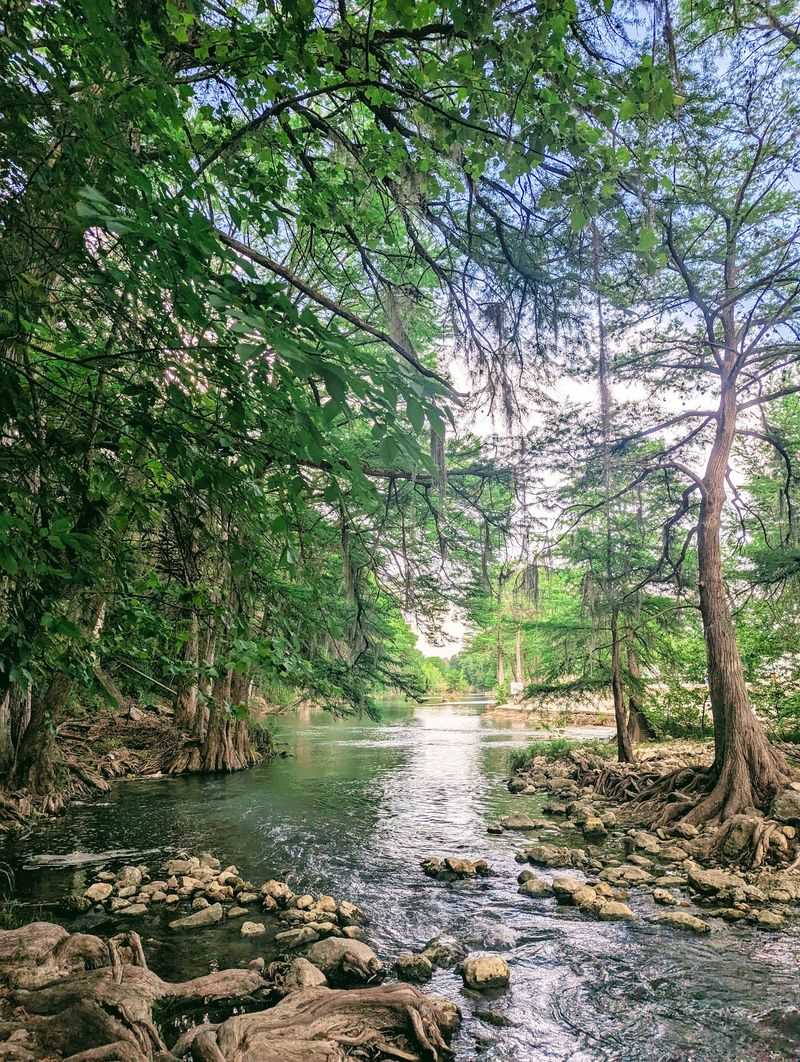 River Views That Slow the Meal Down