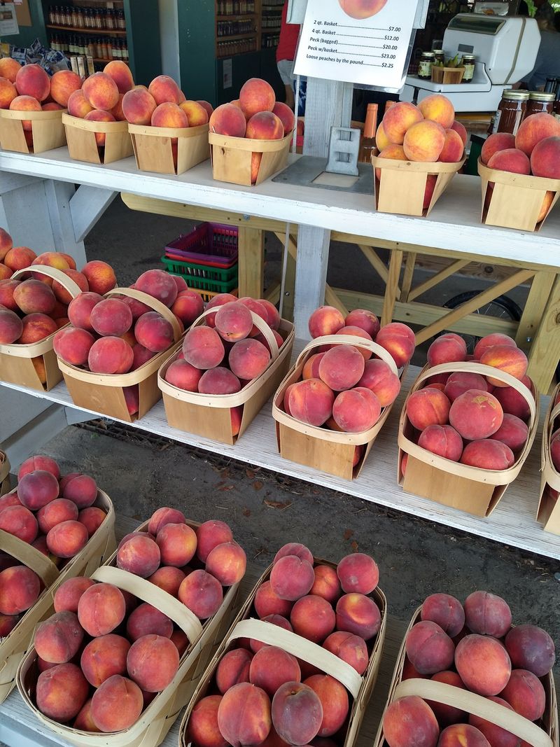 Peach Season and a Taste of Local Life