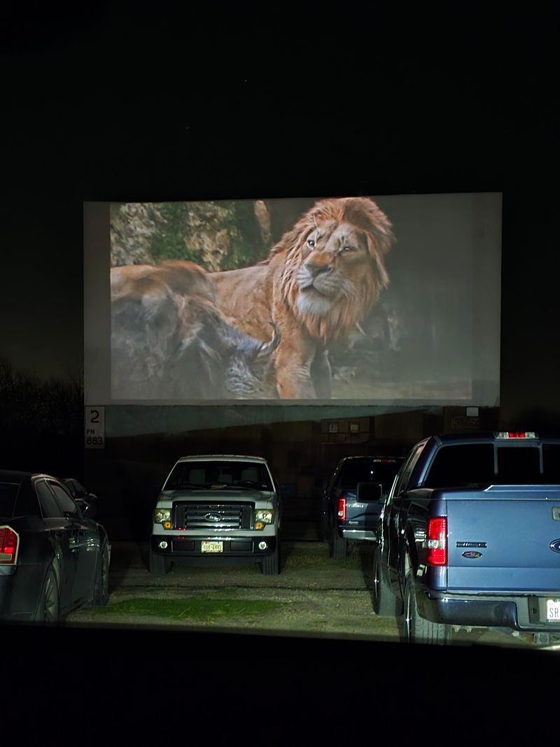 Seven Screens Mean Plenty Of Movies To Choose From