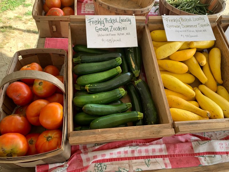 Family-Friendly Orchard Time Without Overcomplicating the Day