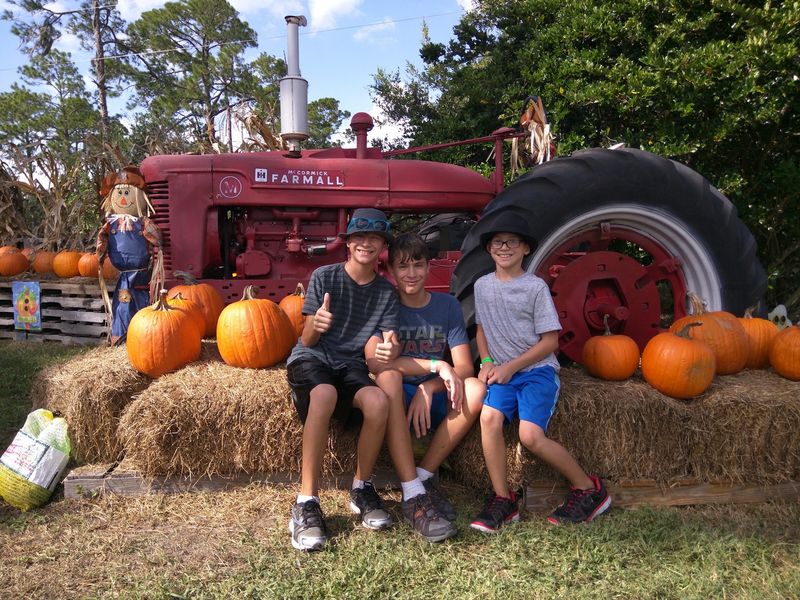 Pick Out A Pumpkin At The Fall Patch