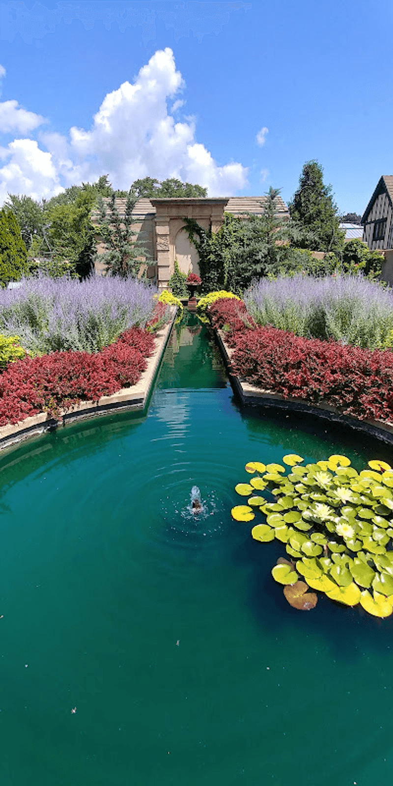 Follow the Color Into the Rose Garden