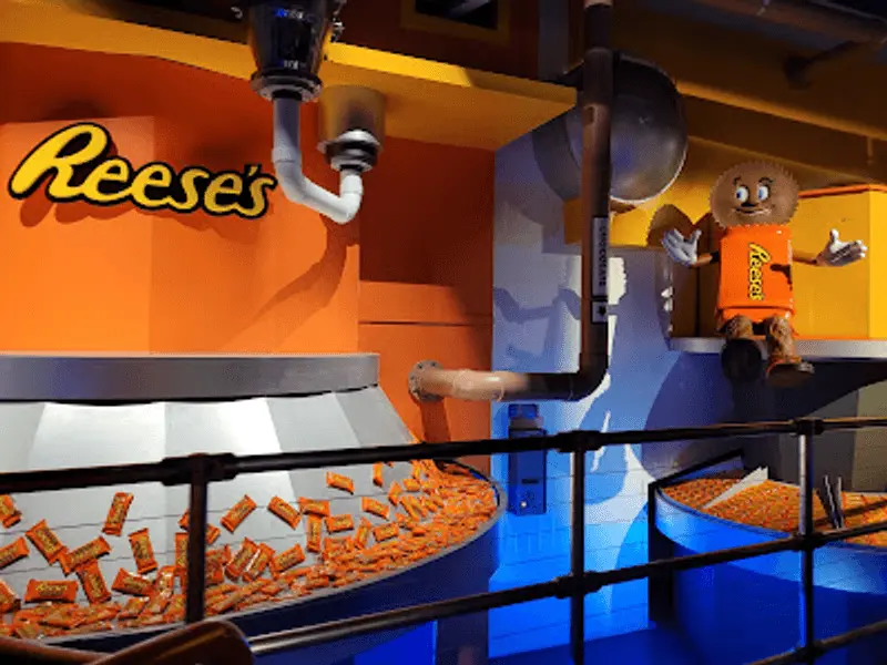 Chocolate Making Becomes a Story Kids Can Follow