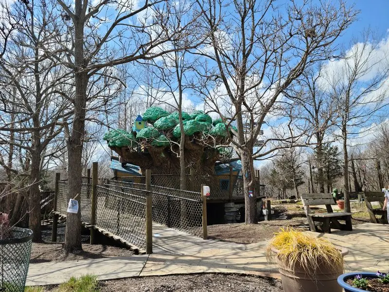 The Treehouse Takes Center Stage
