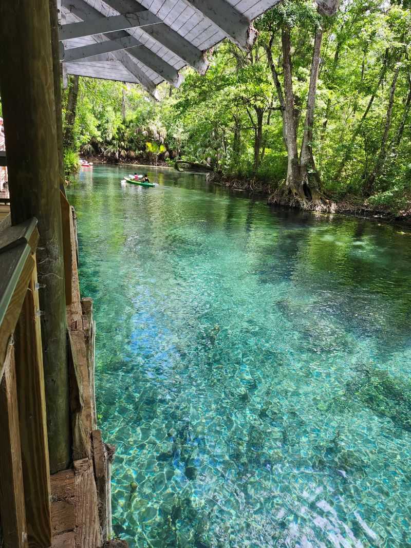 A Window Into the Springs