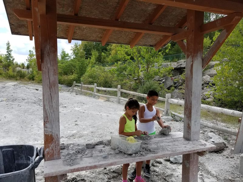 Small Fossils Can Be Big Discoveries