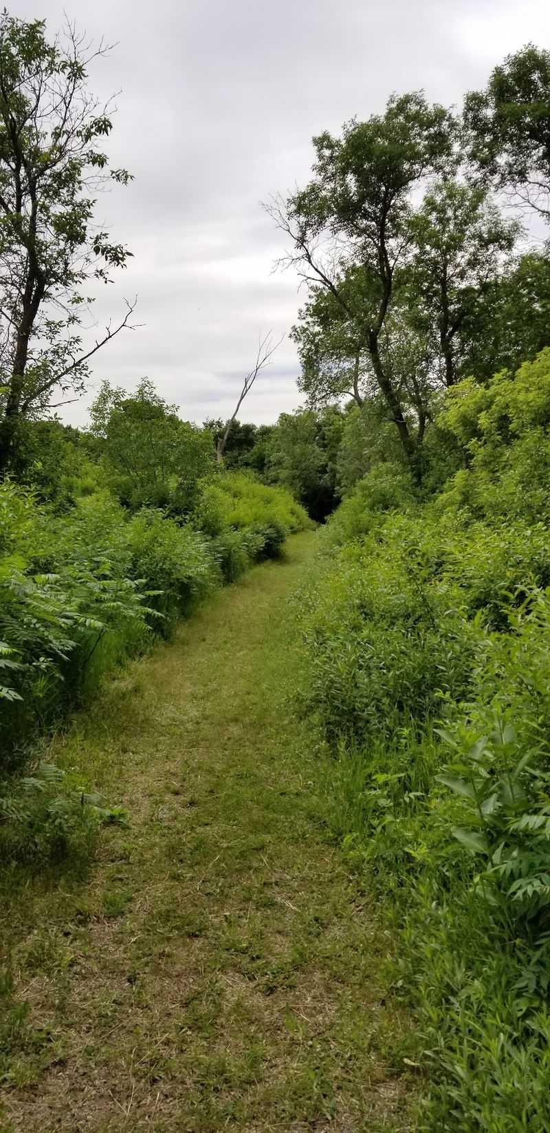 Easy Walking, But Not A Perfectly Marked Trail