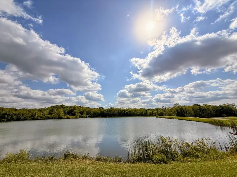 Mirror Lake Adds Shine to the Surprise
