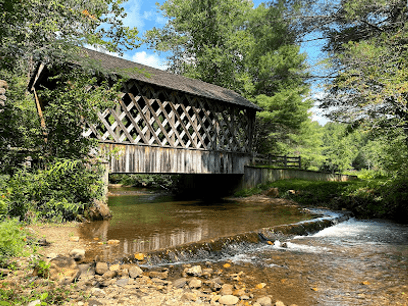 Dukes Creek Brings Trophy Trout And Quiet Drama