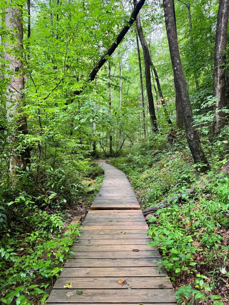 The Short, Easy Trail Makes This Waterfall Adventure Accessible