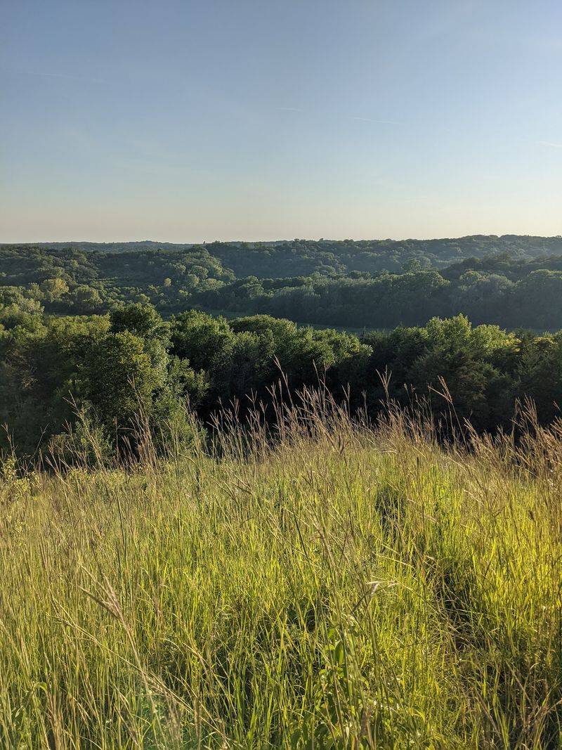 A First Look From the Ridge