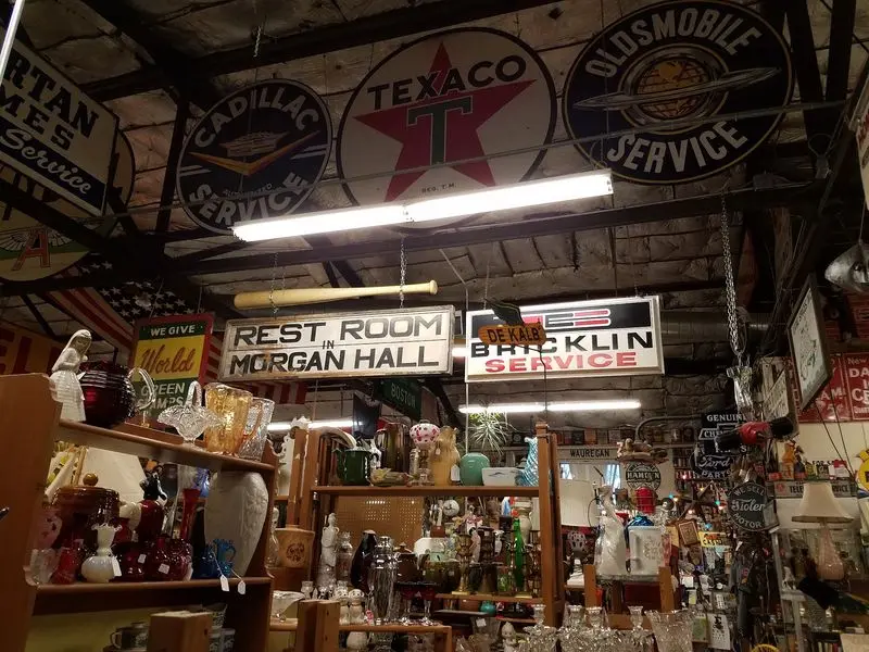 Signs That Steal the Show