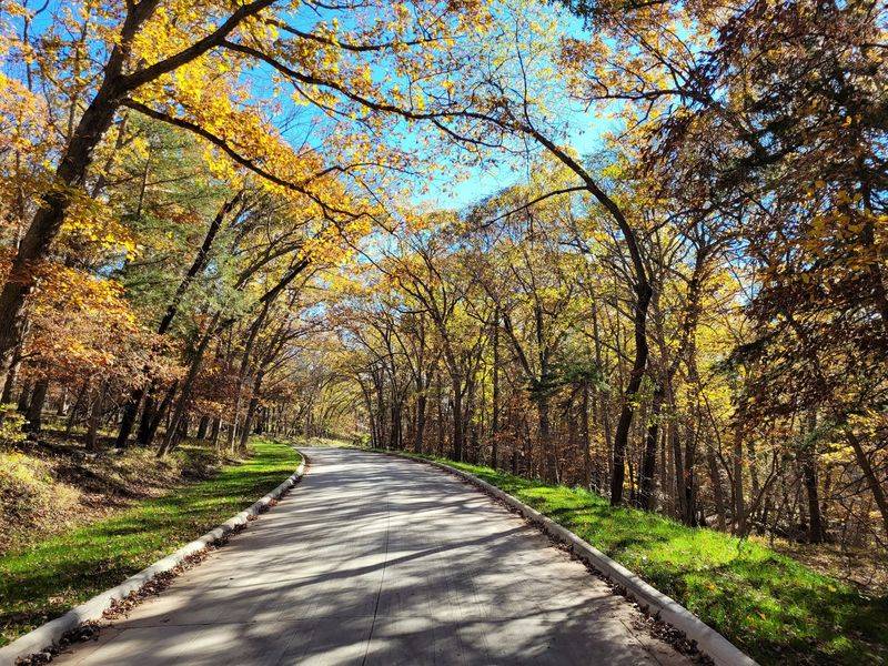 The Park&rsquo;s Changing Fall Colors