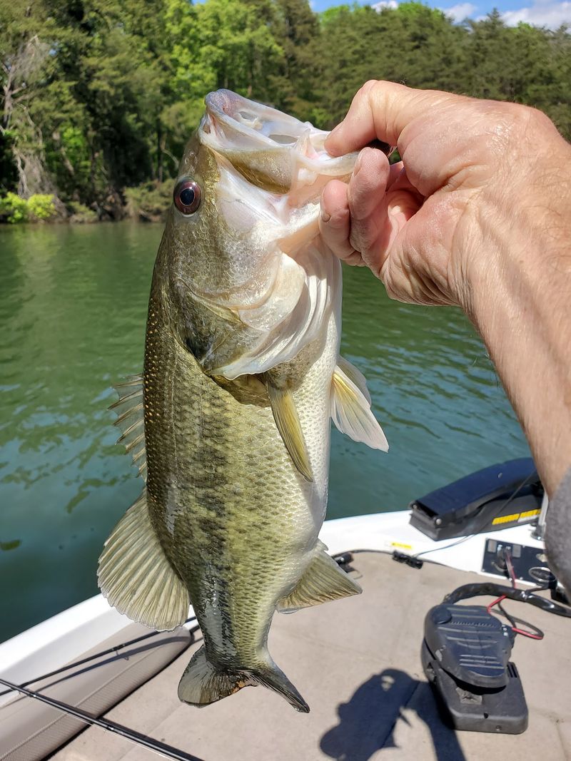 Fishing Where the Valley Once Stood