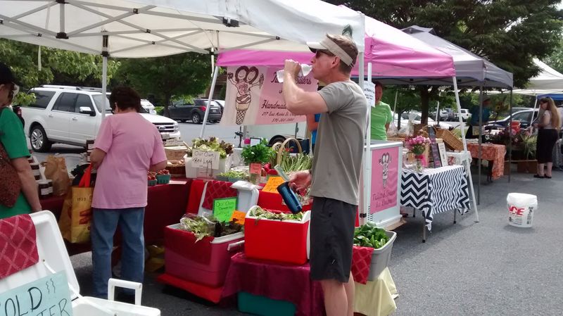 Seasonal Produce That Looks Fresh From the Field