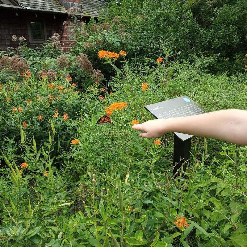 Family Friendly Nature Without a Long Hike