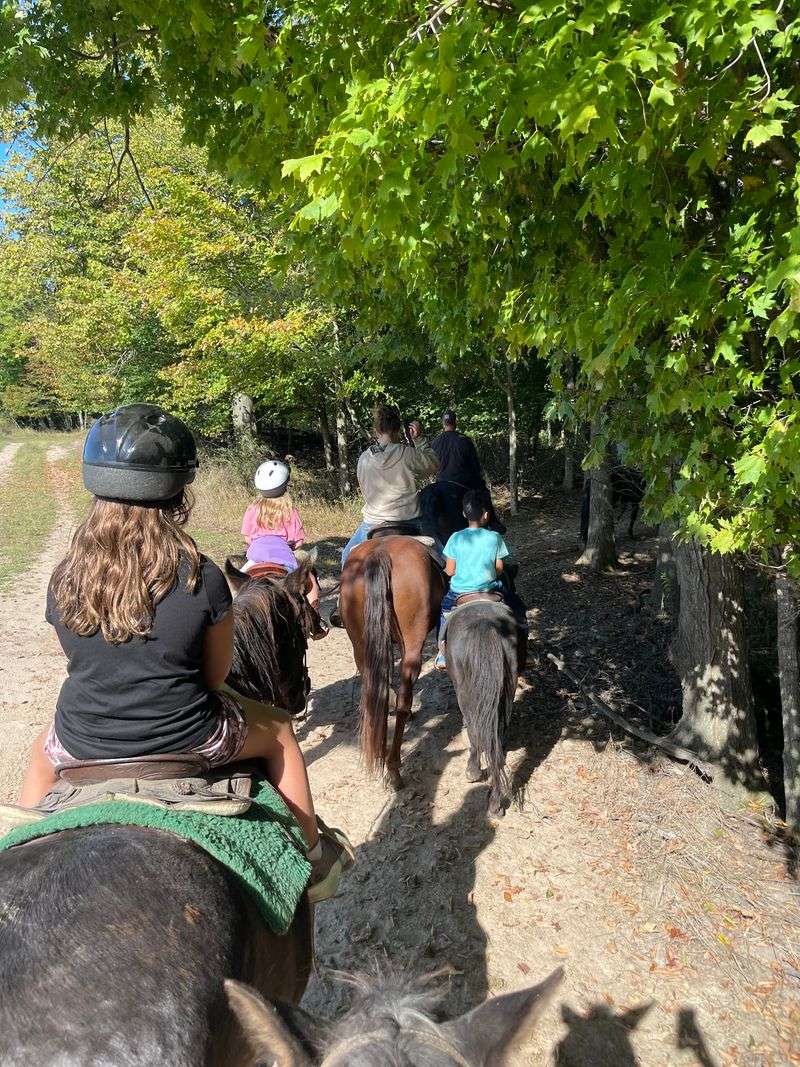 A Pony-Sized Adventure for Little Riders