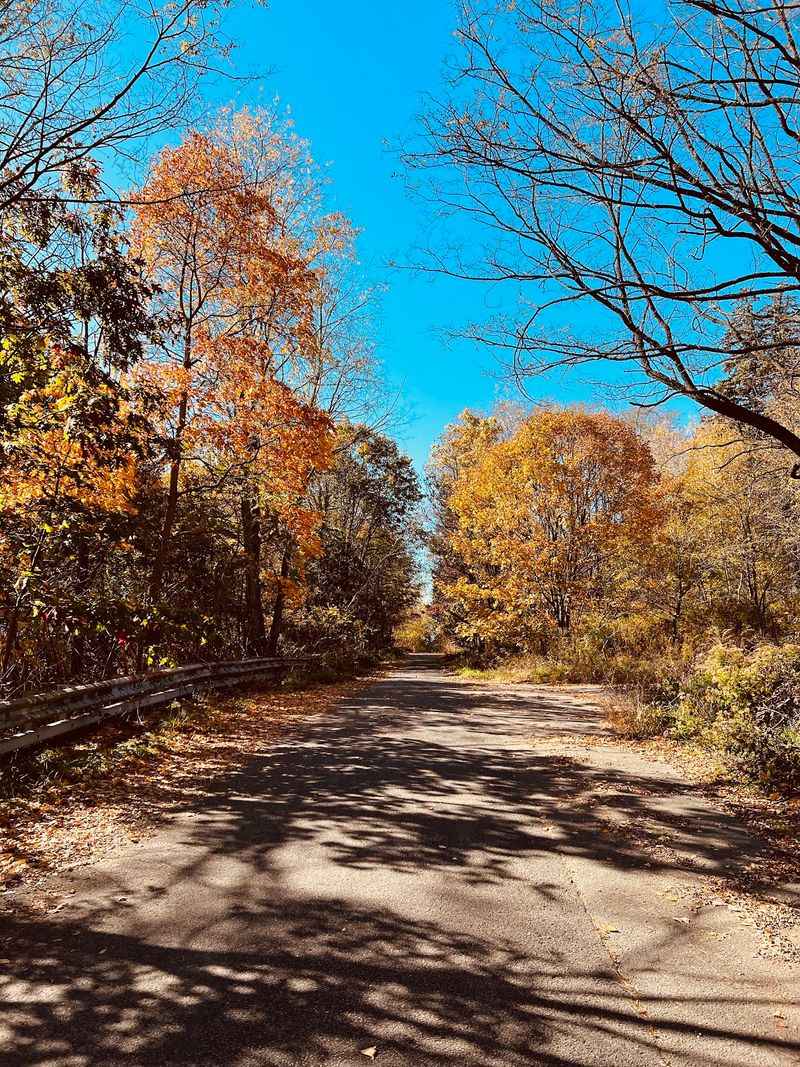 The Road That Became Famous